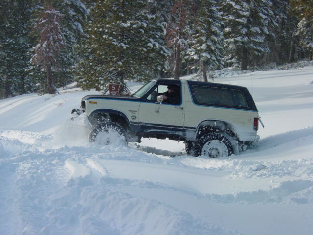Ford Bronco driving through deep snow, trees in background