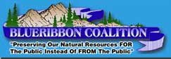 1996 Ford Bronco - The BlueRibbon Coalition logo features mountains, trees, and a banner with text about preserving natural resources.