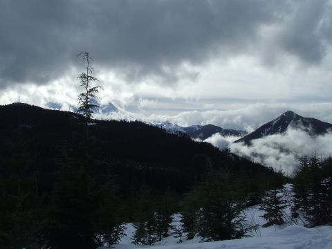 1976 Ford F-150 - Mountain landscape with snow, clouds, and evergreen trees.