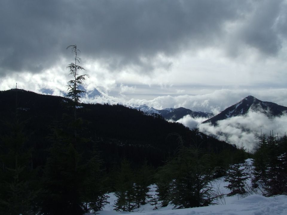Snowy mountains under a cloudy sky with dark evergreen trees in the foreground