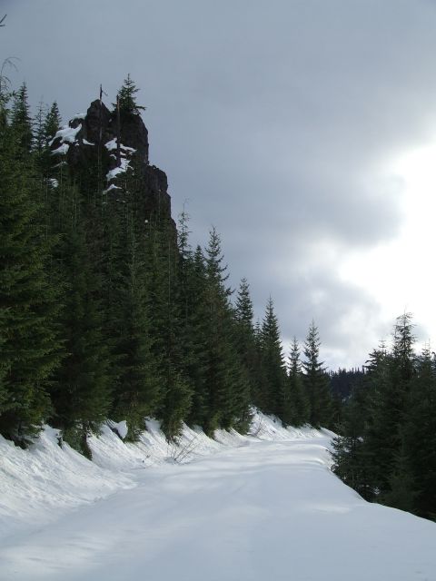 1976 Ford F-150 - A snow-covered road winds through a forest with a large rock formation in the distance under a cloudy sky.