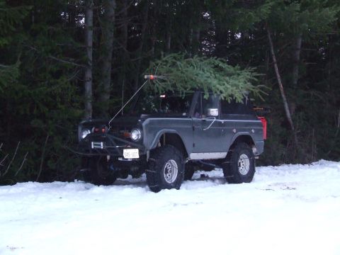 1976 Ford F-150 - A 1976 Ford Bronco carries a Christmas tree through a snowy forest.