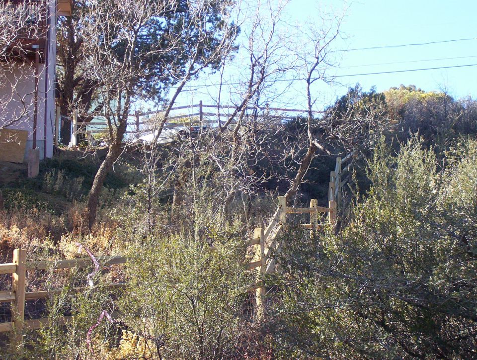 Rural hillside with wooden fence and trees