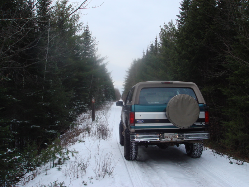 Teal and tan lifted Ford Bronco from behind on snowy forest trail with spare tire cover