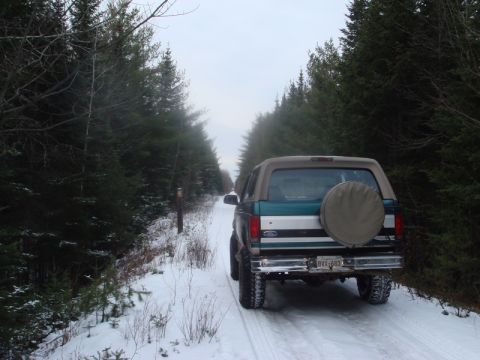 1996 Ford Bronco - A 1996 Ford Bronco travels down a snow-covered road flanked by dense pine trees.