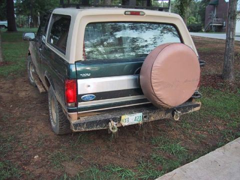 1995 Ford Bronco - Rear view of a 1995 Ford Bronco, showing its spare tire and license plate.