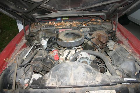 1993 Ford Bronco - The engine bay of a car, showing various components under the hood.