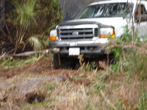 1989 Ford Bronco - Front view of a 1999 Ford F-250 truck on a dirt path with vegetation.