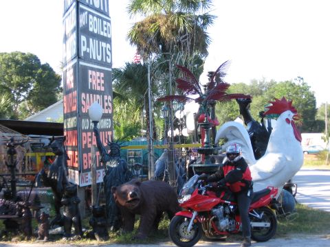1974 Ford F-100 - A motorcycle is parked next to a collection of quirky roadside attractions, including a large rooster statue and a Statue of Liberty replic…