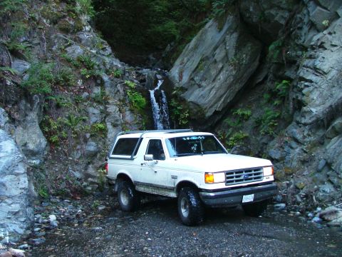 1988 Ford Bronco photo