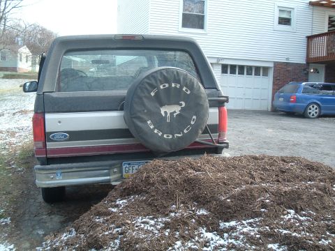 1995 Ford Bronco - The rear of a Ford Bronco is visible, with a spare tire cover and a license plate.