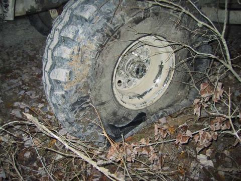 1995 Ford Bronco - Off-road tire and wheel detail, surrounded by natural debris.