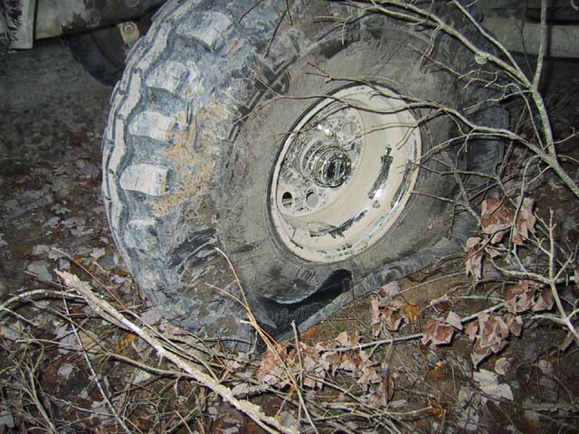 Muddy off-road tire on a white steel wheel with a torn sidewall, flat on leafy trail ground