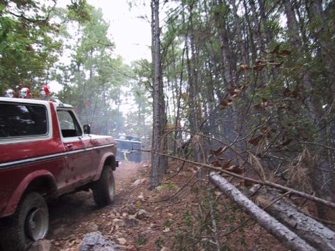 1995 Ford Bronco - Down getting a big pull from a Toyota--he,he,he