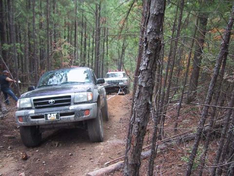 1995 Ford Bronco - Two trucks navigate a wooded trail, with one in the foreground displaying a CAT license plate.
