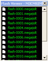 2001 Ford Mustang - A computer screen displays a list of flash files and website URLs, including 'www.supermotors.net'.