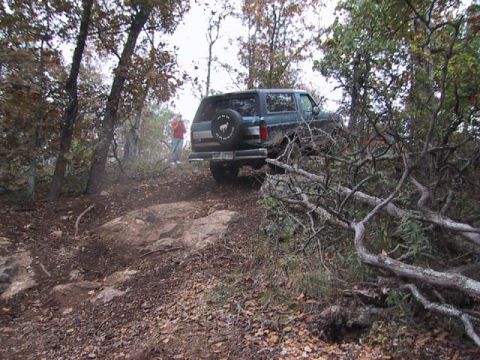 1995 Ford Bronco - A Ford Bronco navigates a wooded trail with fallen branches.