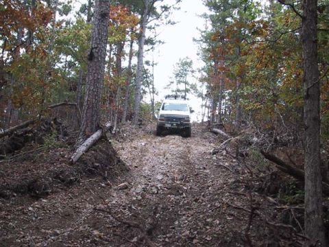 1995 Ford Bronco - A white SUV navigates a rough, wooded trail during the autumn season.
