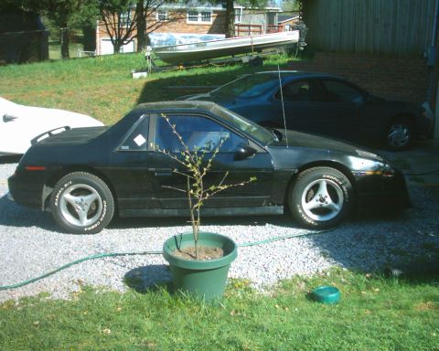 1985 Pontiac Fiero photo