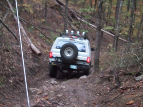 1995 Ford Bronco - White 1995 Ford Bronco navigates a wooded trail, showing its rear profile and spare tire mounted externally.
