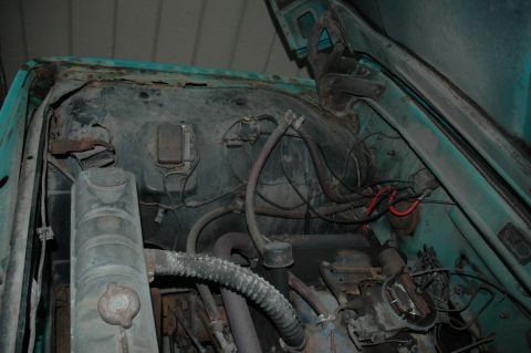 1963 Ford F-250 - Close-up view of the engine bay, showing the radiator, various hoses, and electrical wiring. The area shows signs of age and rust.