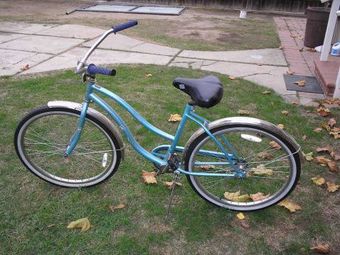 1990 Ford Bronco - A blue cruiser bicycle is parked on a grassy lawn with fallen leaves.