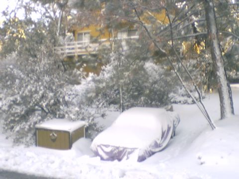 1973 Ford Ranchero - A vehicle is covered by a tarp and snow in a snowy yard with a house in the background.
