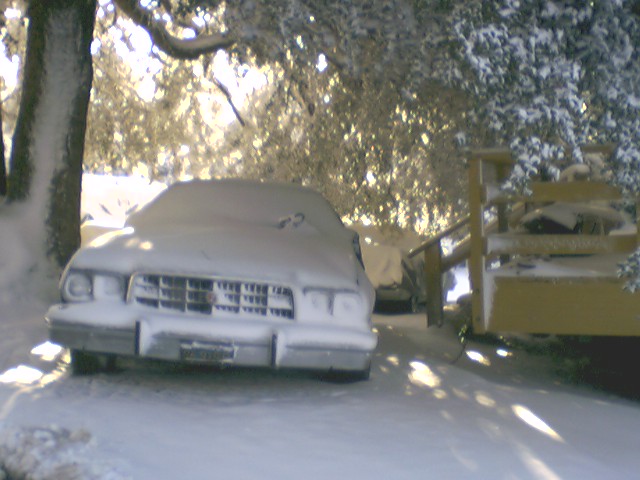 Snow-covered 1970s Ford parked under snowy oak trees, front view