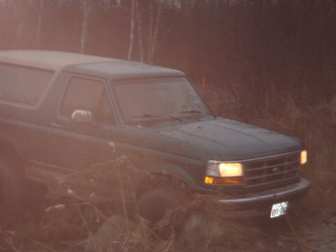 1996 Ford Bronco - This 1996 Ford Bronco is seen in a natural, overgrown setting, possibly after being driven off-road.