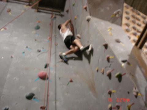 1979 Ford Bronco - A person ascends a climbing wall, utilizing various handholds and footholds.