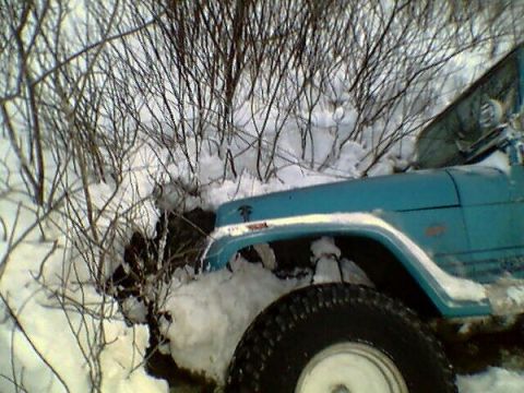 1979 Ford F-250 photo