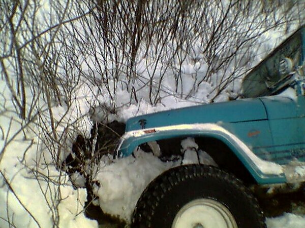 blue jeep stuck in snow with branches overhead