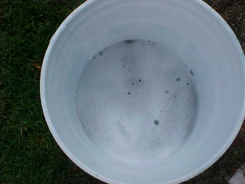 1995 Ford Taurus - The water i dipped the sponge in to clean it before i got more soap to put on the car...