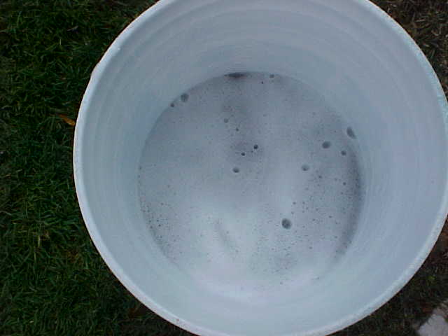 The water i dipped the sponge in to clean it before i got more soap to put on the car...