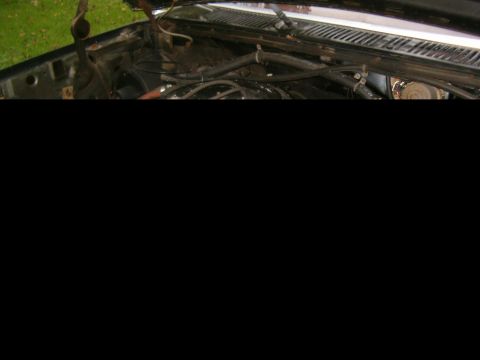 1986 Ford Bronco - Engine bay of a 1986 Ford Bronco, showing various hoses and wiring components.