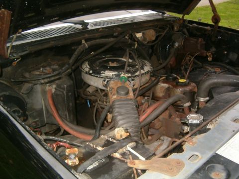 1986 Ford Bronco - The engine bay of a vehicle shows various components including the air cleaner assembly and radiator.