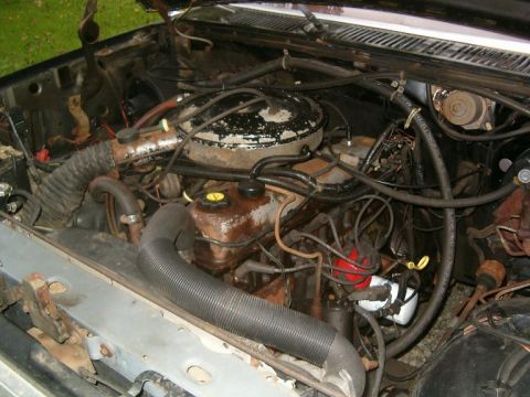 1986 Ford Bronco - The engine bay of a vehicle shows various components and hoses, with visible signs of wear and staining.