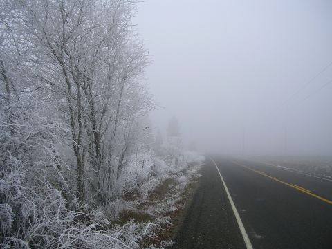 1996 Ford Probe - A desolate road disappears into thick fog, with trees along the side coated in frost.