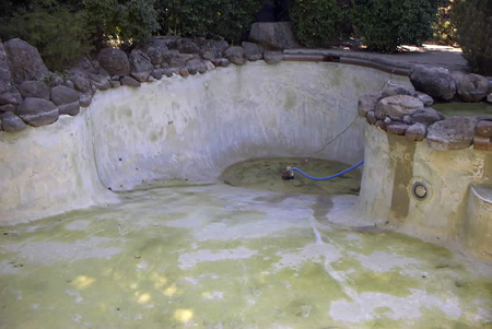 1999 Ford Taurus - This empty swimming pool features a stone border and a blue hose running across the bottom.