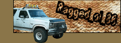1986 Ford Bronco - This 1986 Ford Bronco is equipped with off-road lights and a protective front bumper.