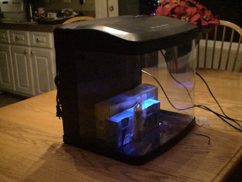 1993 Ford C-350 (Centurion Conversions) - Aquarium setup with internal blue lighting, placed on a wooden table.