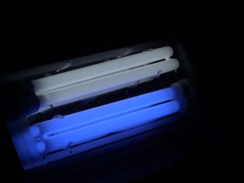 1993 Ford C-350 (Centurion Conversions) - Close-up of a fluorescent light fixture showing both blue and white bulbs.
