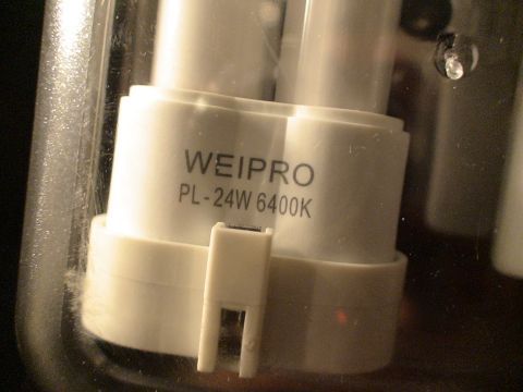1993 Ford C-350 (Centurion Conversions) - Close-up of a WEIPRO PL-24W 6400K light bulb, likely for an aquarium.