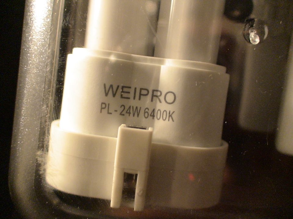 White WEIPRO PL-24W 6400K compact fluorescent lamp base