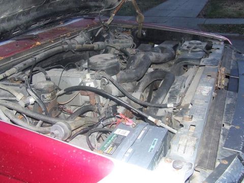 1992 Ford Bronco - Engine bay of a 1992 Ford Bronco, showing the engine and related parts under the open hood.