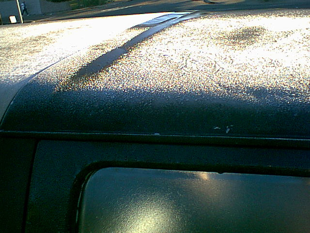 this was a cold morning 19 degrees
