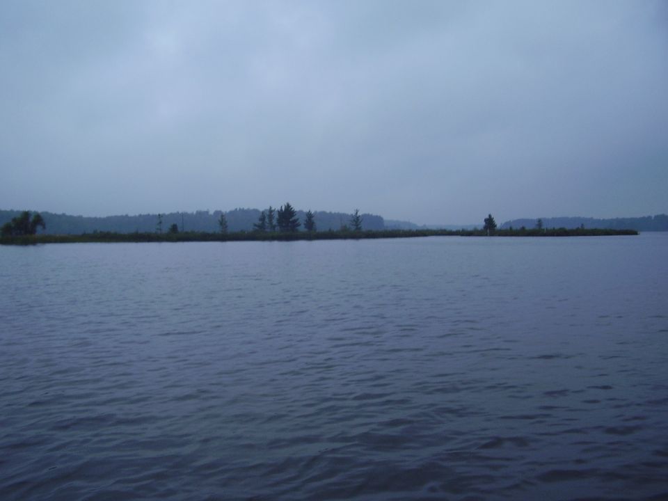 The Bog near Church Bars.