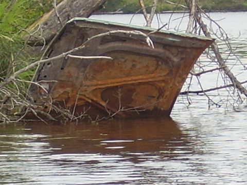 1996 Ford F-150 - A heavily rusted vehicle hood is partially submerged in murky water, entangled with fallen branches and debris.
