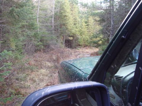 1996 Ford Bronco - The vehicle is covered in mud splatters as it navigates a wooded area.