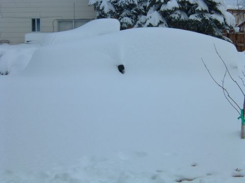 1992 Ford Probe “LX”